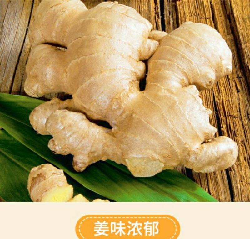农家生姜新鲜大黄姜姜香浓郁煲汤调味更加鲜美