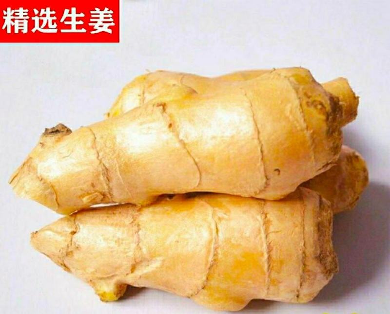 农家生姜新鲜大黄姜姜香浓郁煲汤调味更加鲜美