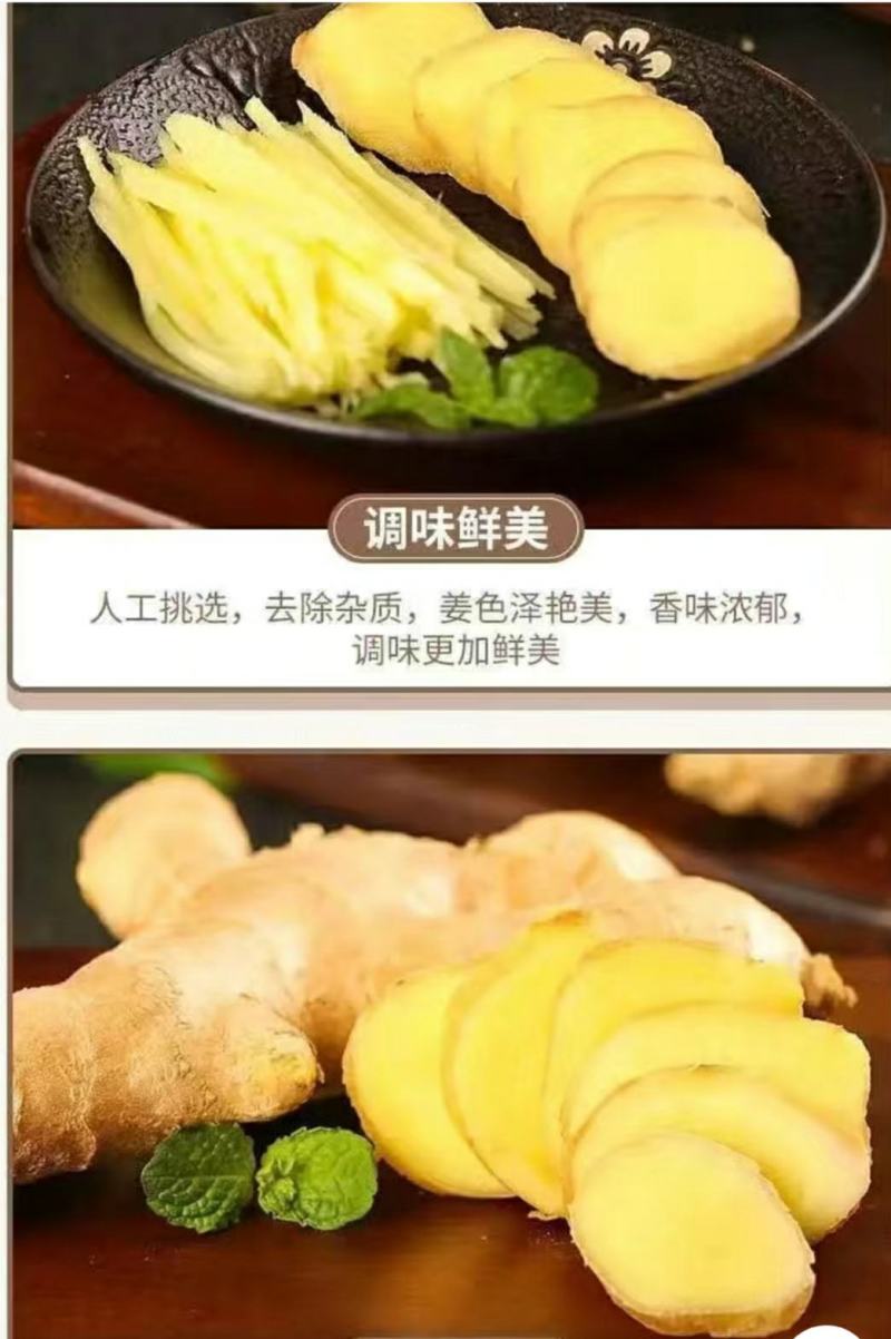 农家生姜新鲜大黄姜辛辣多汁姜香浓郁煲汤调味更加鲜美