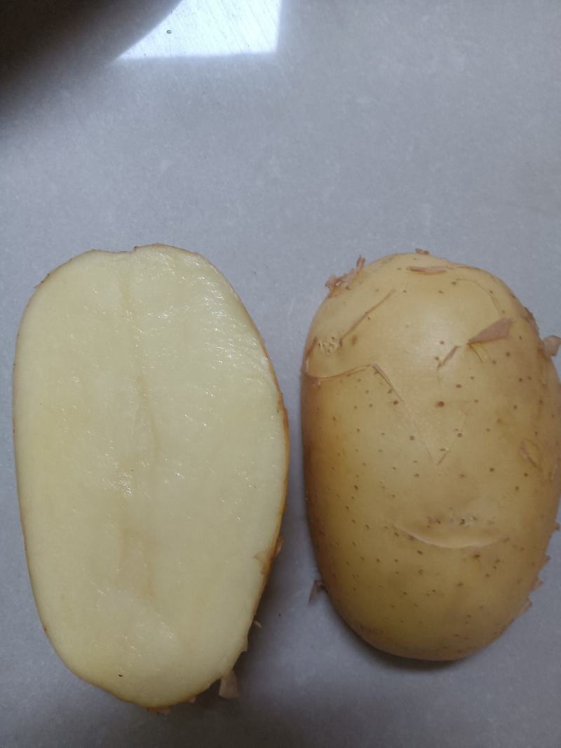 沙土地黄皮黄心土豆新鲜马铃薯现挖现卖基地直供荷兰土豆