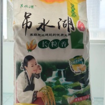 吊水湖长粒香，可批发，可零售，货源充足，基地直供
