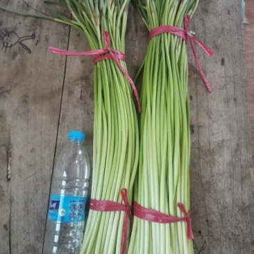 蒜苔山东金乡蒜薹加工长年供应，认准加工厂直销