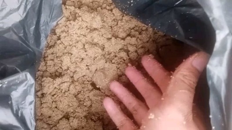 广州珠江啤酒大量供应啤酒糟，营养好，易吸收，牛羊好饲料！