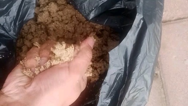 广州珠江啤酒大量供应啤酒糟，营养好，易吸收，牛羊好饲料！