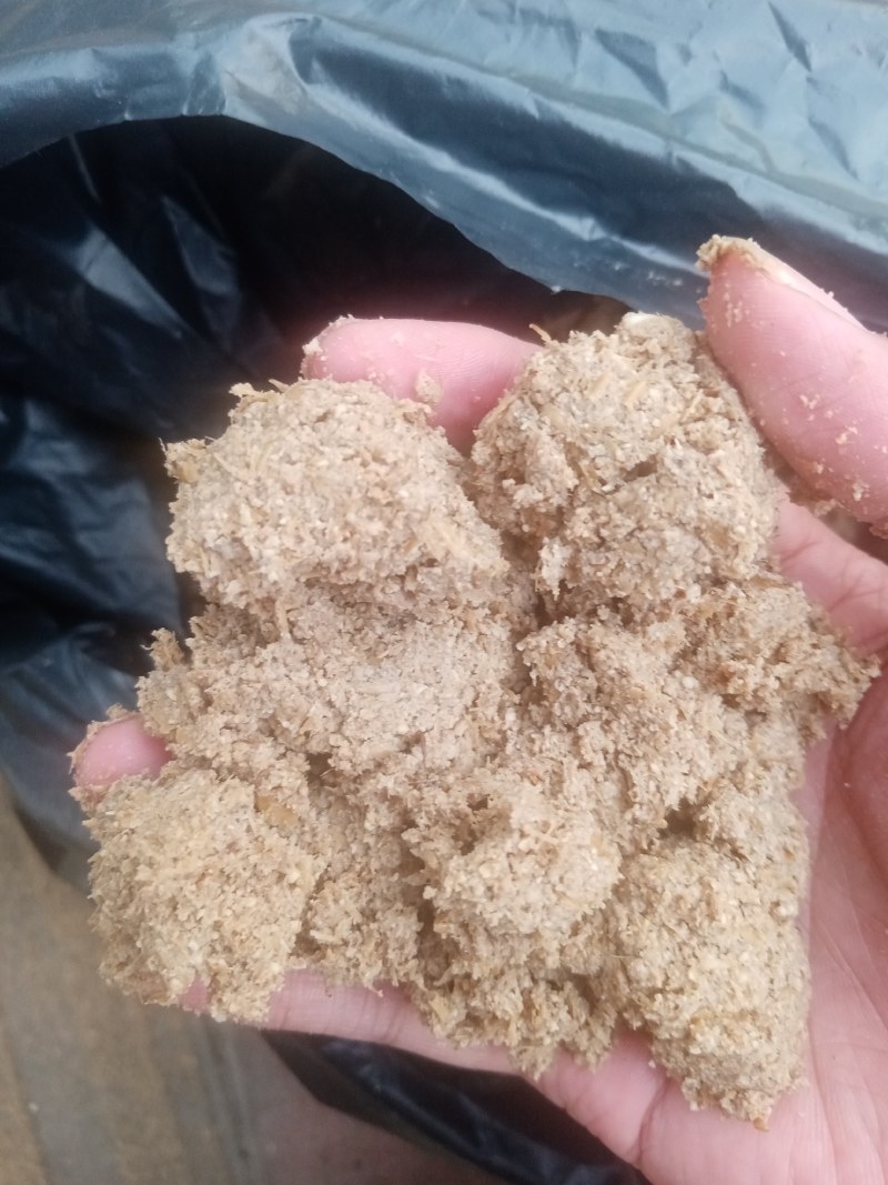 广州珠江啤酒大量供应啤酒糟，营养好，易吸收，牛羊好饲料！