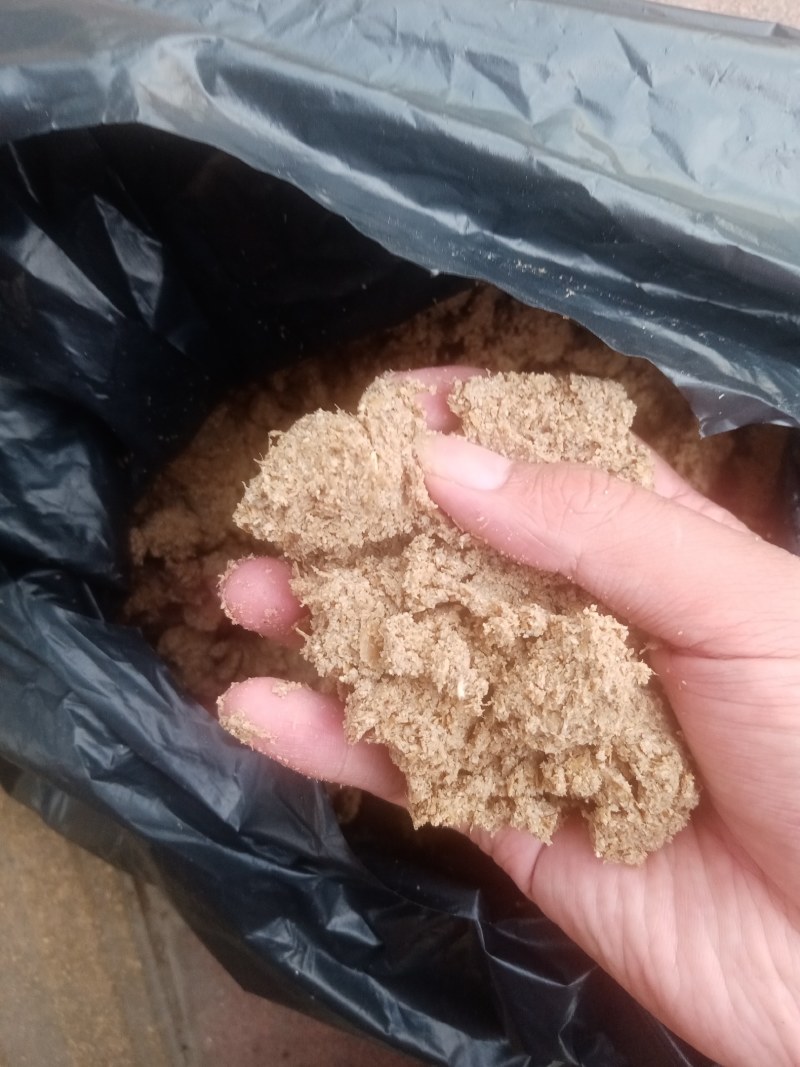 广州珠江啤酒大量供应啤酒糟，营养好，易吸收，牛羊好饲料！