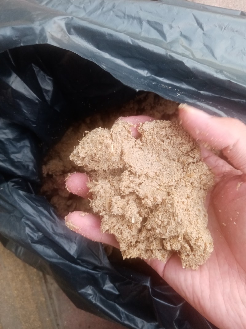 广州珠江啤酒大量供应啤酒糟，营养好，易吸收，牛羊好饲料！