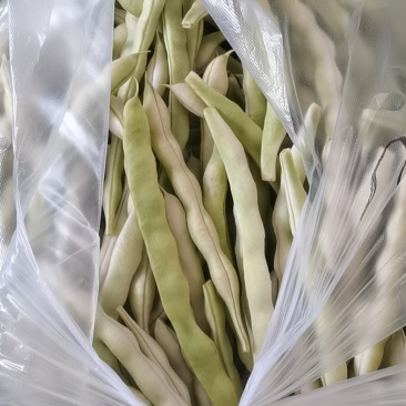 青岛平度芸豆大量上市中，有需要的老板联系