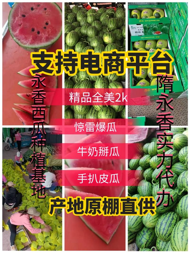 小糖丸西瓜全美2k西瓜冰糖子吊瓜潍坊西瓜产地直供