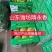 小糖丸西瓜全美2k西瓜冰糖子吊瓜潍坊西瓜产地直供