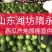 小糖丸西瓜全美2k西瓜冰糖子吊瓜潍坊西瓜产地直供