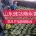小糖丸西瓜全美2k西瓜冰糖子吊瓜潍坊西瓜产地直供