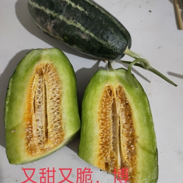 博洋9