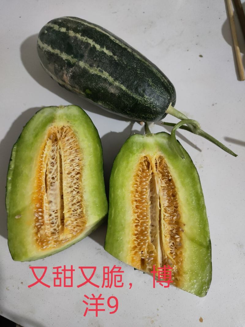 博洋9