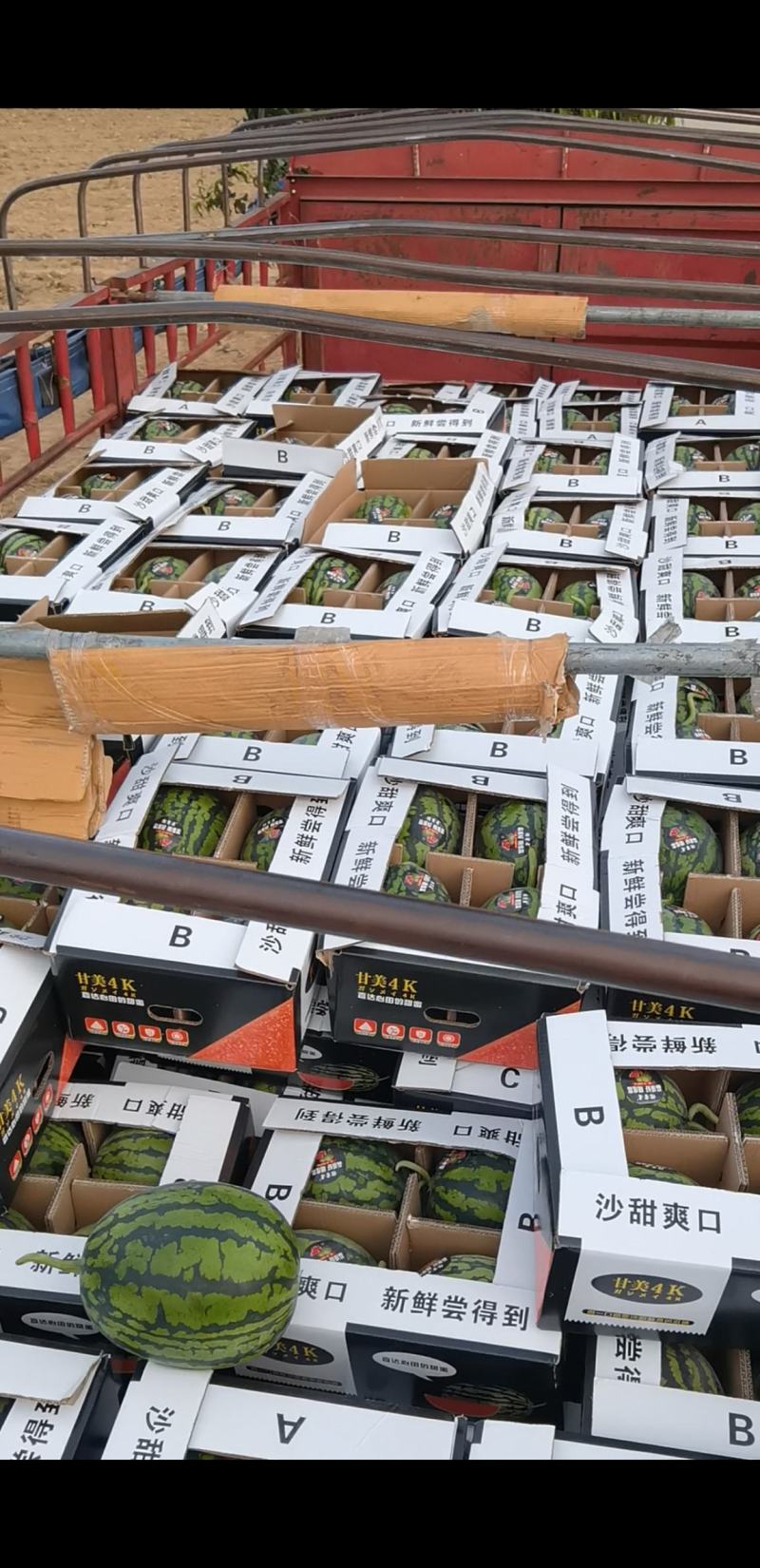 甘美4K西瓜福建泉州产地代办代发品质保证