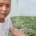 甘美4K西瓜福建泉州产地代办代发品质保证