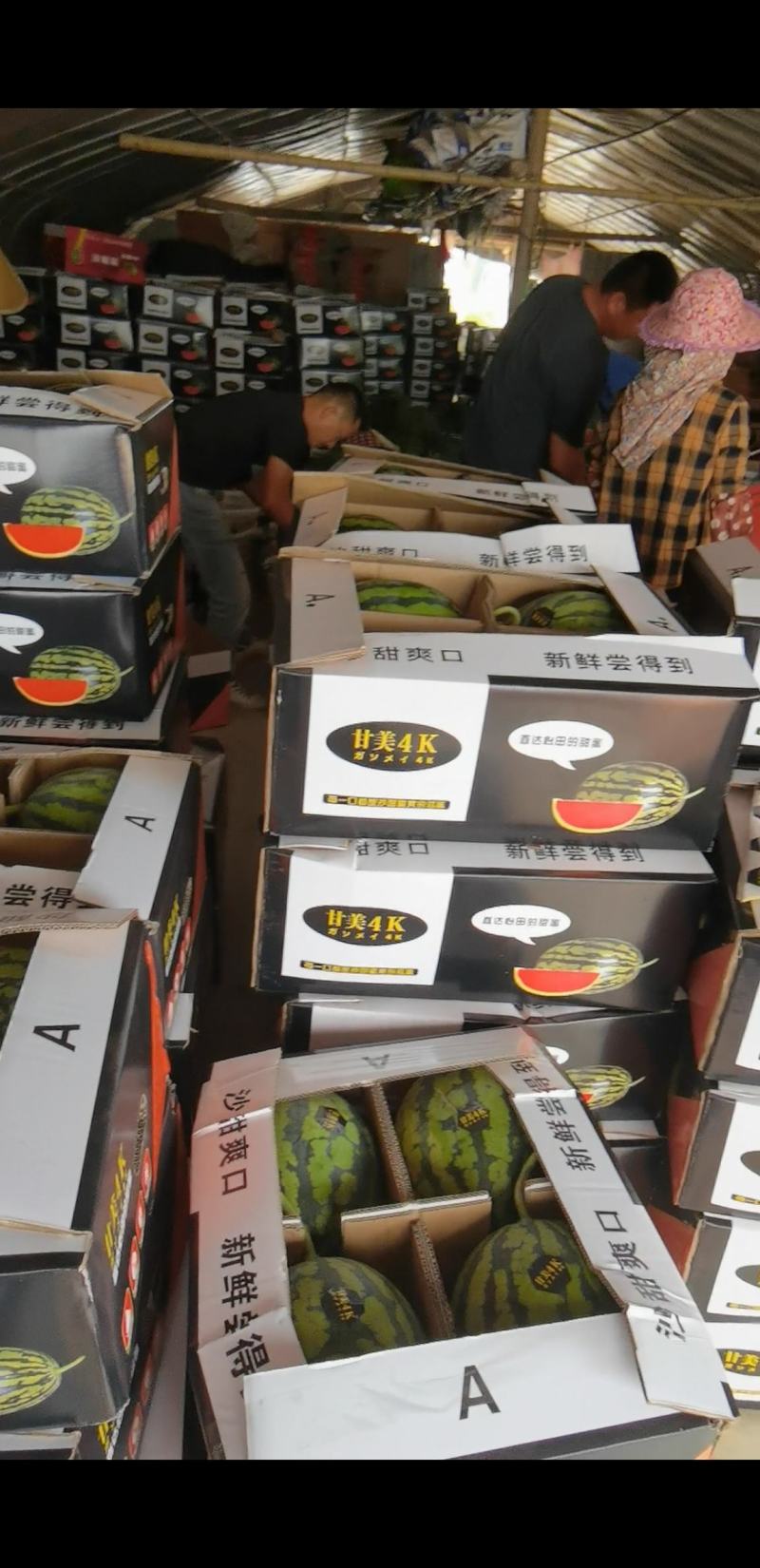 甘美4K西瓜福建泉州产地代办代发品质保证