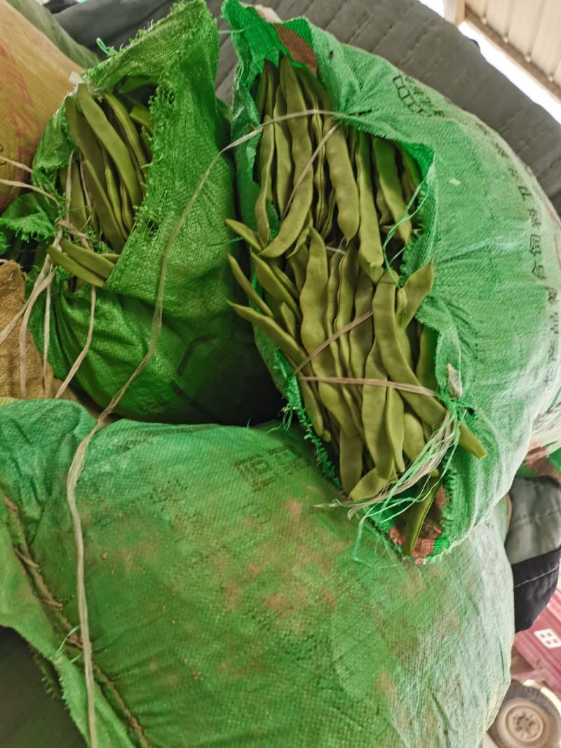 山东省聊城市蔬菜产地供应