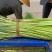 邳州精品红帽蒜苔大量上市中适合每一个市场