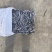 鳀鱼沙里钻船冻食品用鱼银针鱼量大优惠
