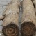 40年老葛根野生葛根片大山挖鲜葛根批发包邮