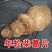 野生葛根片30年大山挖野生葛根老葛根野生柴葛根批发