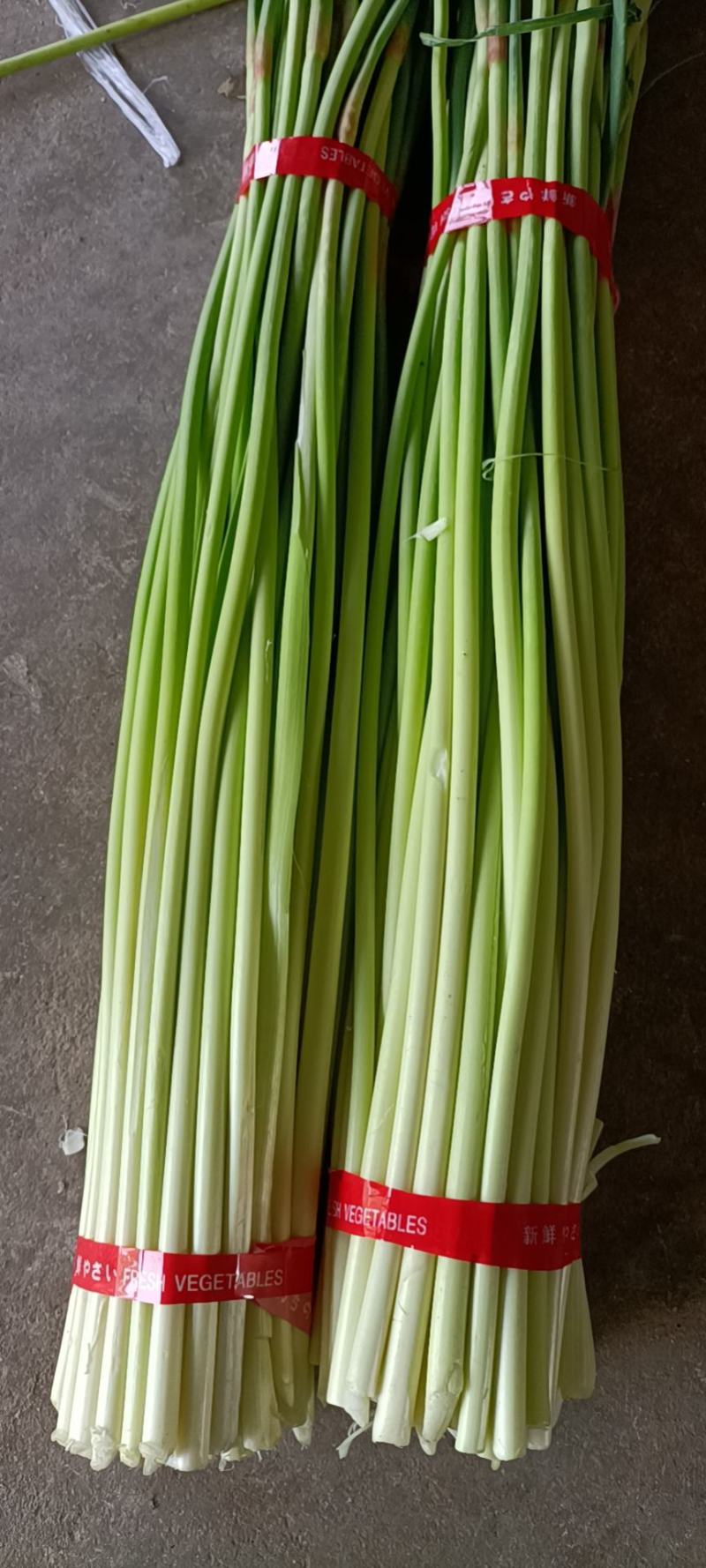 邳州精品红帽蒜苔大量上市中适合每一个市场