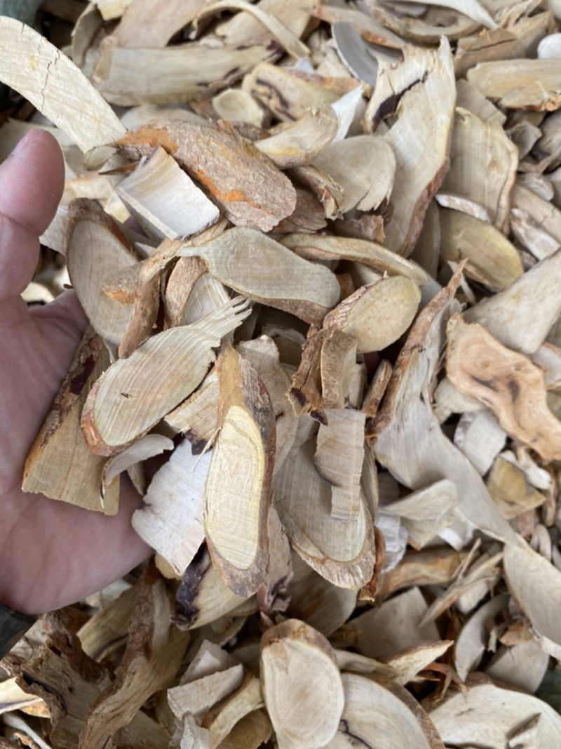 纯根部黄根狗骨木白狗骨狗骨根黑根子