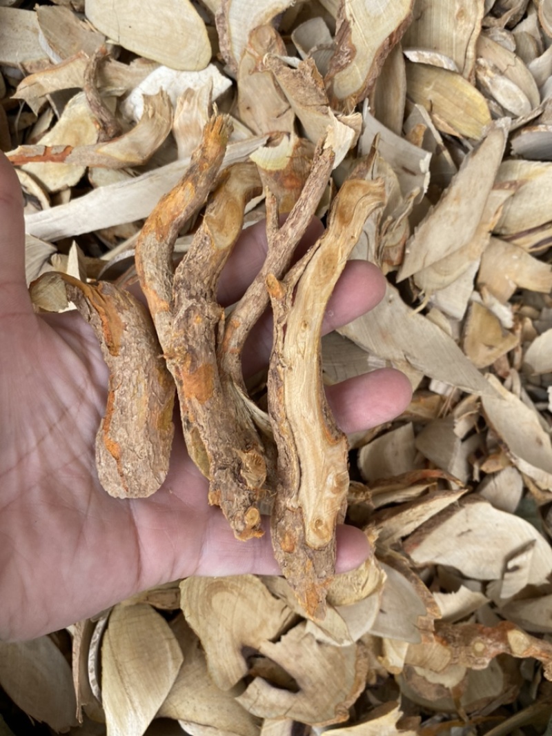 纯根部黄根狗骨木白狗骨狗骨根黑根子