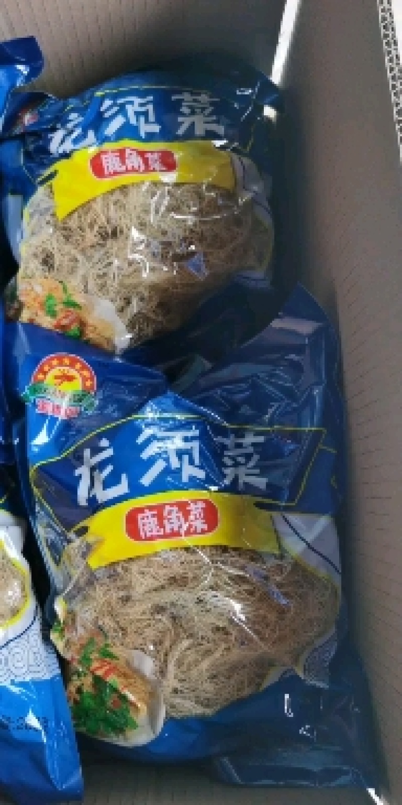 海石花）。。。。。。。。。。。。。。。。。。。。