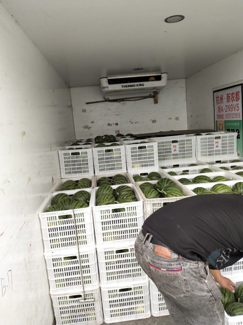 早春红玉小西瓜早春红玉小西瓜早春红玉小西瓜早春红玉小西瓜