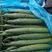 黄瓜短中长条，绿油亮黑亮大量上市发全国各地市场