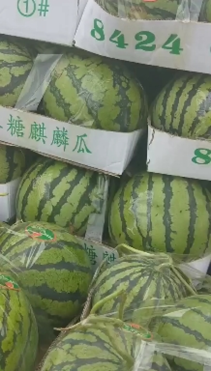 美都西瓜大量上市中，保熟，保甜，保售后，质量三包