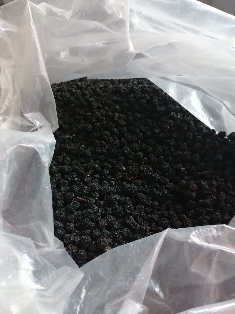 黑果花楸不老莓，产地辽宁省丹东，欢迎新老客户前来选购。