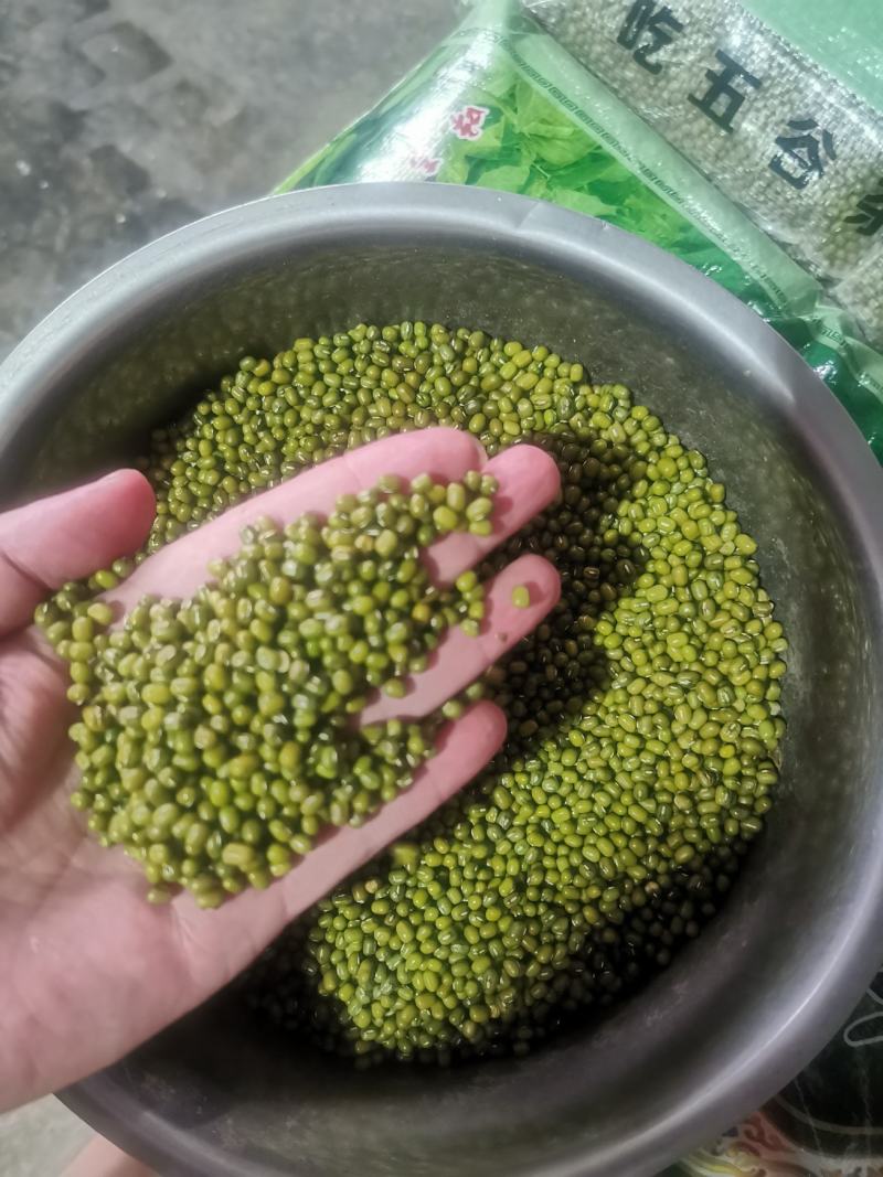 缅甸进口绿豆,保质保量,长期供应。