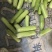 奶油丝瓜白玉丝瓜大量供应欢迎老板来采购