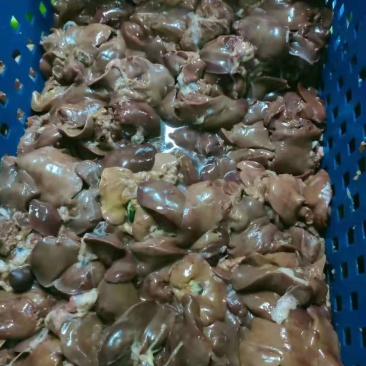 鸡肠鸡肝