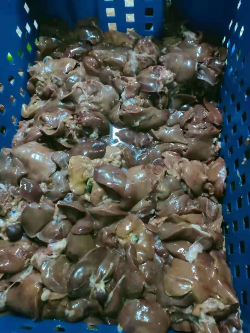 鸡肠鸡肝