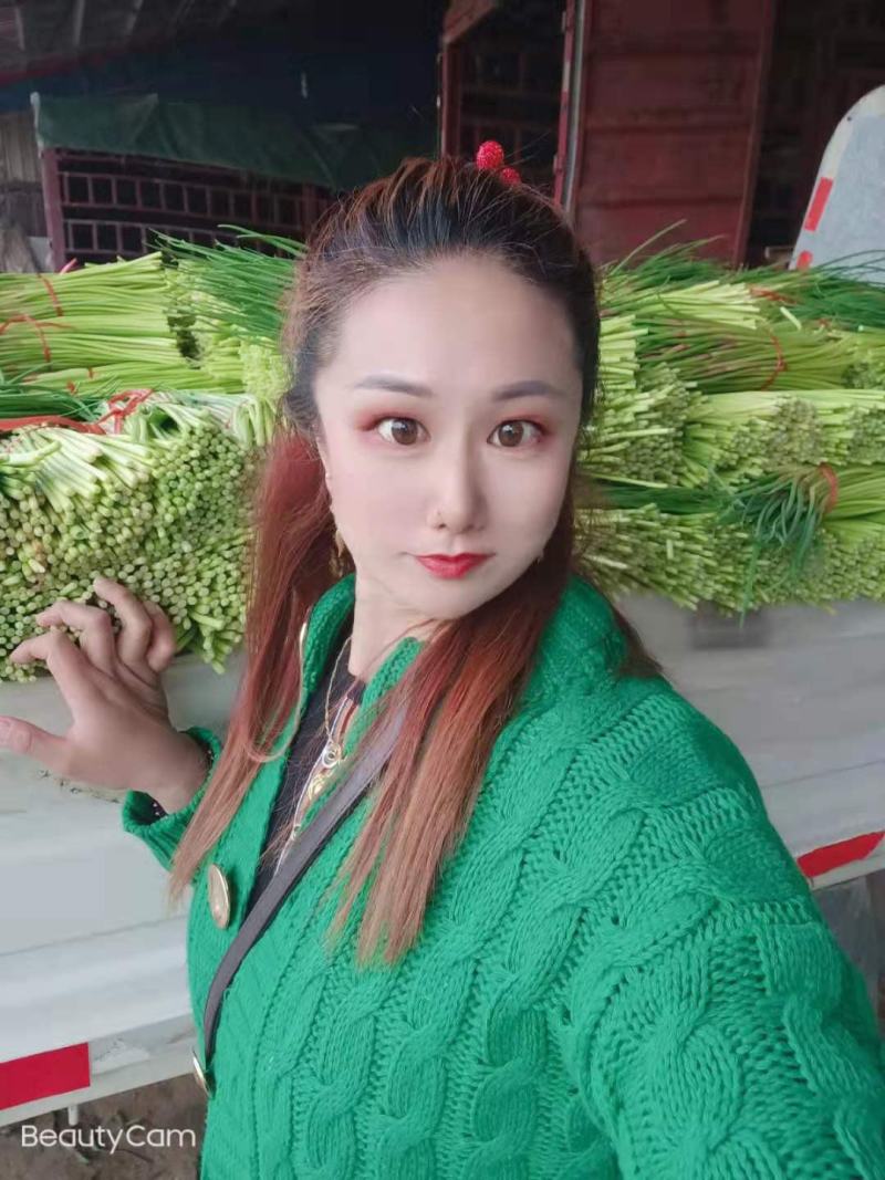 平邑杂交蒜苔大掉价，有存冷库的可以来了~现摘现发货全国