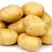 滕州新品2-4两电商土豆，价格实惠，常年有货
