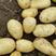 滕州新品2-4两电商土豆，价格实惠，常年有货