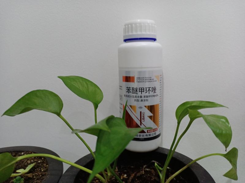 40%苯醚甲环唑悬浮剂苯醚甲环锉西瓜碳疽病杀菌剂