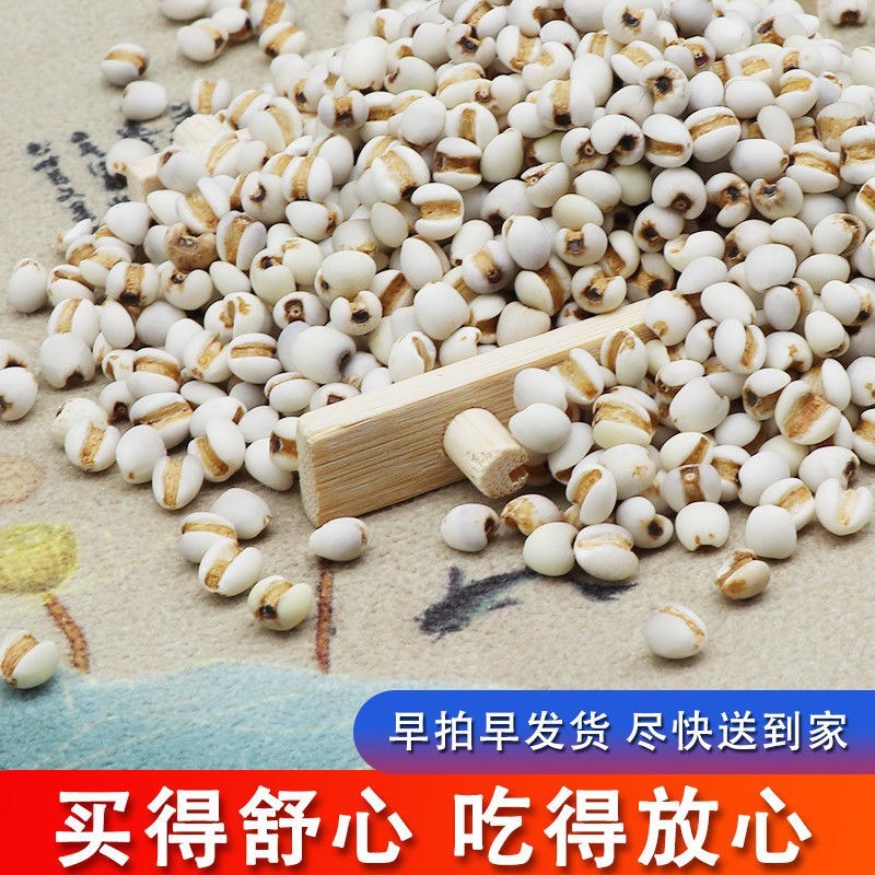 贵州薏米赤小豆250克新货糯薏米仁5斤批发小薏