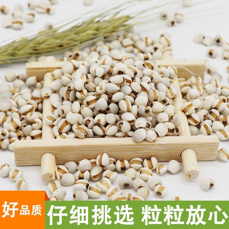 贵州薏米赤小豆250克新货糯薏米仁5斤批发小薏