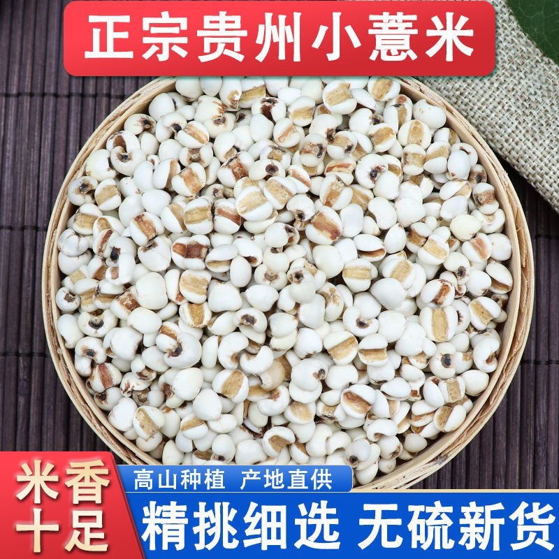 贵州薏米赤小豆250克新货糯薏米仁5斤批发小薏