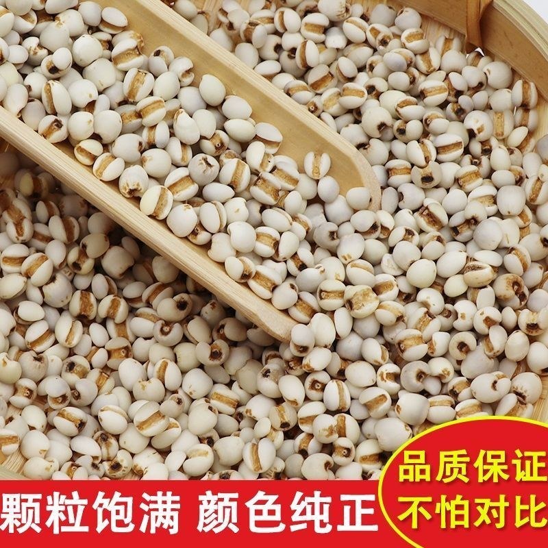 贵州薏米赤小豆250克新货糯薏米仁5斤批发小薏