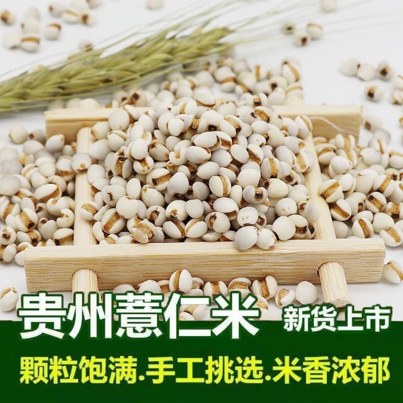 贵州新货薏米干货薏仁米仁农家自产量大从优