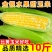 云南新鲜水果金银玉米一件代发10斤5斤3斤