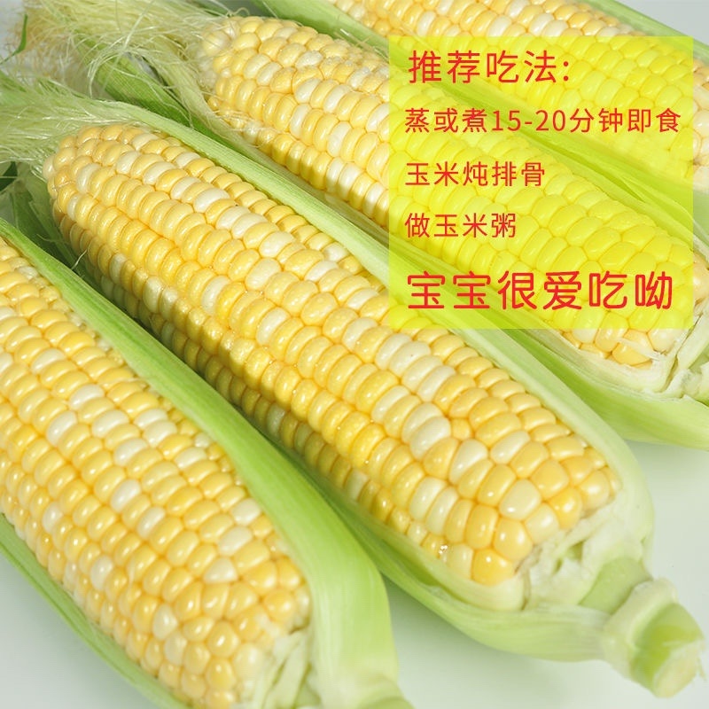 云南新鲜水果金银玉米一件代发10斤5斤3斤