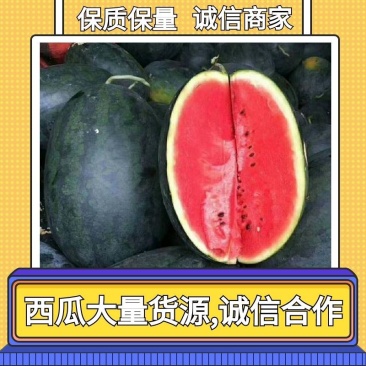 黑美人西瓜大量上市.实力代办.诚信合作，欢迎老板前合作。